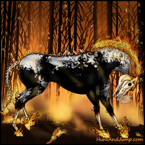 Horse Color:White Spotted Silver Brown Chinchilla Onyx Rabicano 