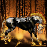 Horse Color:White Spotted Silver Brown Chinchilla Onyx Rabicano