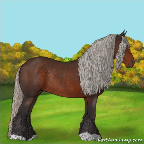 Horse Color:Silver Brown Rabicano