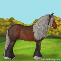 Horse Color:Silver Brown Rabicano 