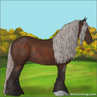 Horse Color:Silver Brown Rabicano