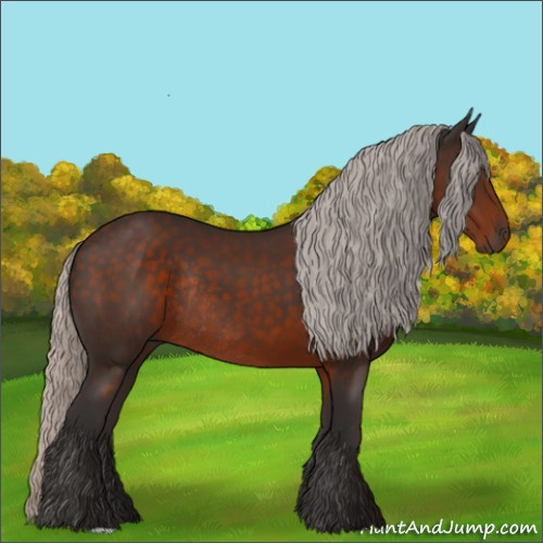 Horse Color:Silver Brown Rabicano