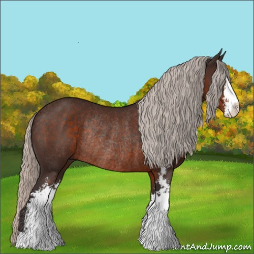 Horse Color:Silver Brown Sabino Rabicano