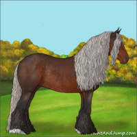 Horse Color:Silver Brown Rabicano