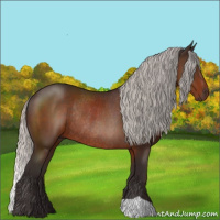 Horse Color:Silver Brown Rabicano 