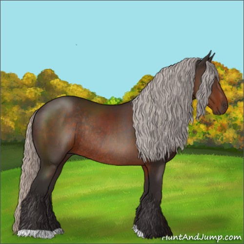 Horse Color:Silver Brown Rabicano 