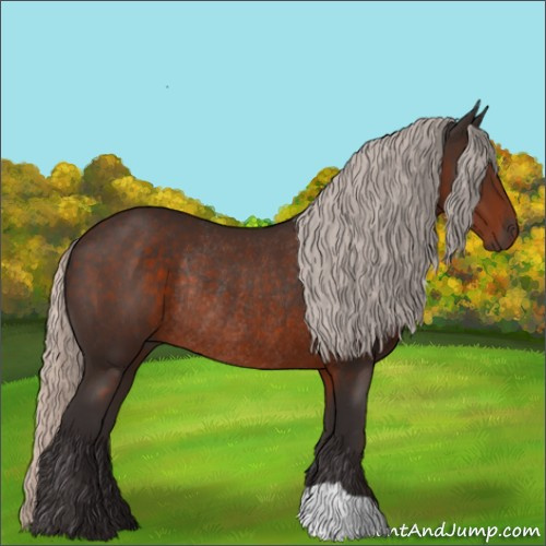 Horse Color:Silver Brown Rabicano 