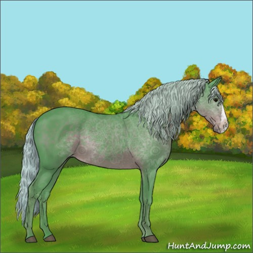 Horse Color:Watercolor Silver Black 