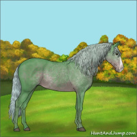 Horse Color:Watercolor Silver Black 