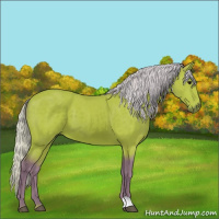 Horse Color:Watercolor Silver Bay