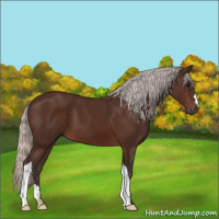Horse Color:Silver Brown 