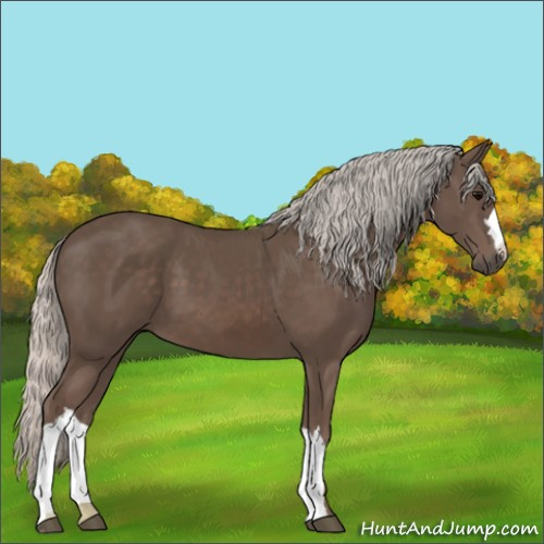 Horse Color:Silver Black 