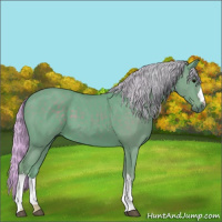 Horse Color:Watercolor Silver Black 