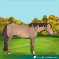 Horse Color:Sable Champagne 
