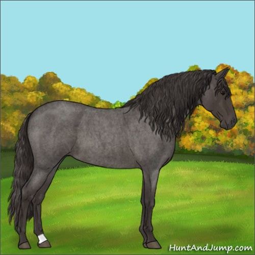 Horse Color:Smoky Blue Roan
