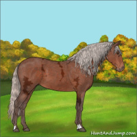 Horse Color:Silver Brown Ice