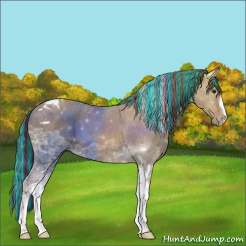 Horse Color:Painted Chestnut Ice Sabino Tobiano 