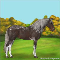 Horse Color:Silver Brown Tobiano 