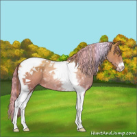 Horse Color:Painted Gold Champagne Tobiano