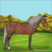 Horse Color:Silver Brown Ice 