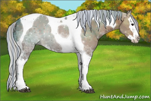 Horse Color:Painted Silver Bay Ice Splash Tobiano Rabicano 