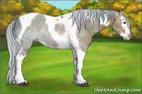 Horse Color:Painted Silver Bay Ice Splash Tobiano Rabicano