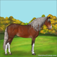 Horse Color:Silver Brown