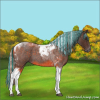 Horse Color:Painted Silver Brown Roan Tobiano 