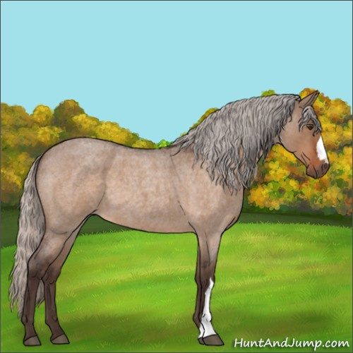 Horse Color:Silver Brown Roan Dun 