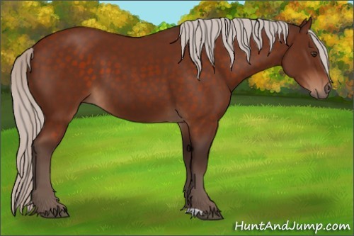 Horse Color:Silver Brown 