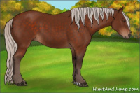 Horse Color:Silver Brown 