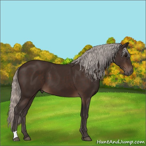 Horse Color:Silver Brown 