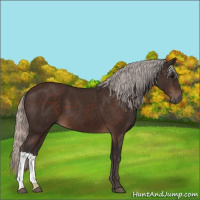 Horse Color:Silver Brown 