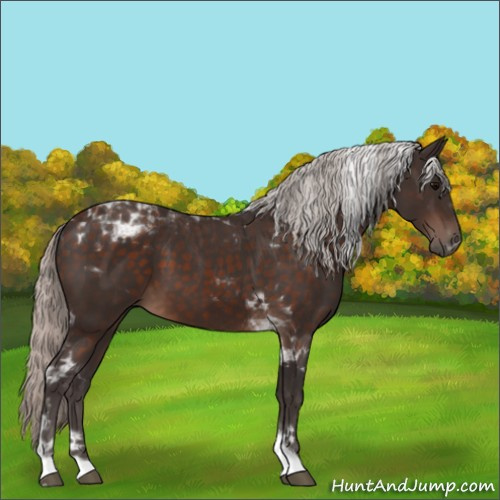 Horse Color:Silver Brown Tobiano 