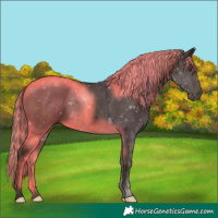 Horse Color:Painted Liver Chestnut 