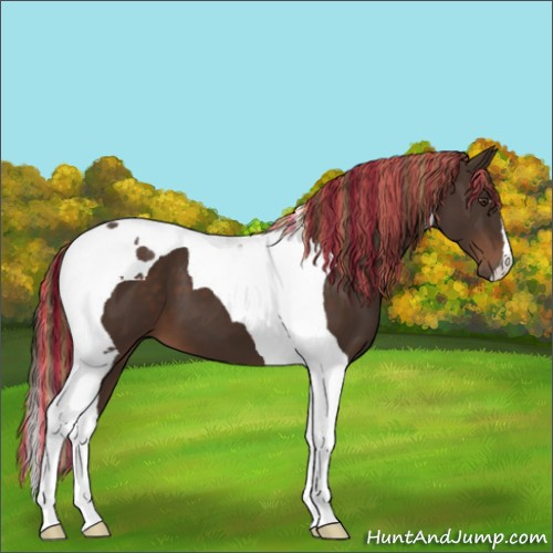 Horse Color:Painted Liver Chestnut Tobiano 