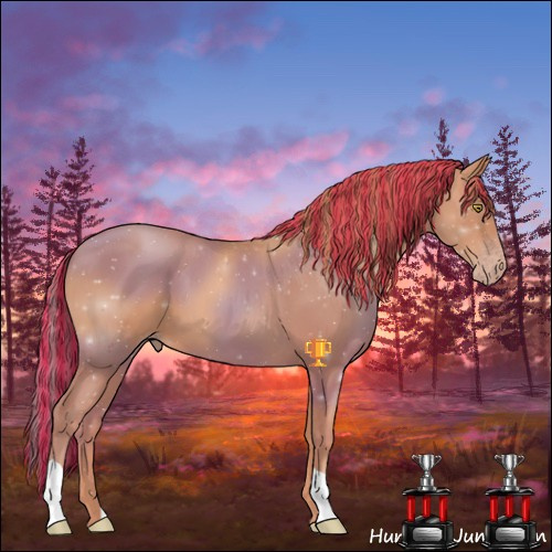 Horse Color:Painted Gold Champagne 