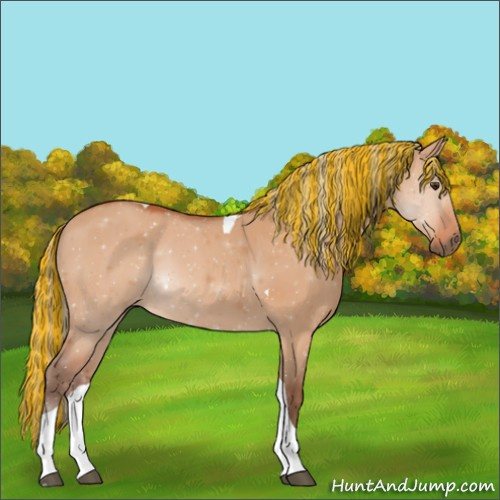 Horse Color:Painted Silver Bay Dun Tobiano 
