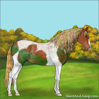 Horse Color:Painted Silver Bay Tobiano 