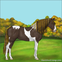 Horse Color:Painted Liver Chestnut Sabino Tobiano 