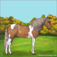 Horse Color:Silver Bay Tobiano 