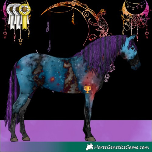 Horse Color:ERROR: UNKNOWN ANOMALY