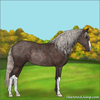Horse Color:Silver Brown 