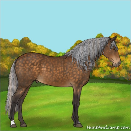 Horse Color:Painted Silver Buckskin 