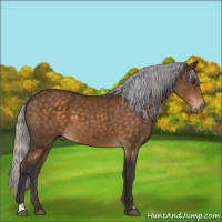 Horse Color:Painted Silver Buckskin 