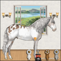 Horse Color:Silver Bay Dun Sabino Frame Appaloosa