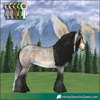 Horse Color:Gray Buckskin Roan 