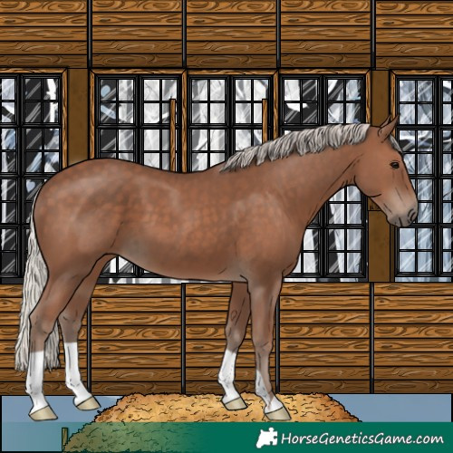 Horse Color:Silver Black 