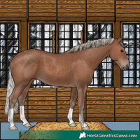 Horse Color:Silver Black 