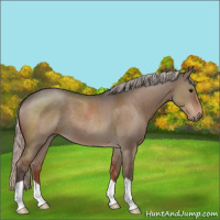 Horse Color:Silver Grullo Roan 